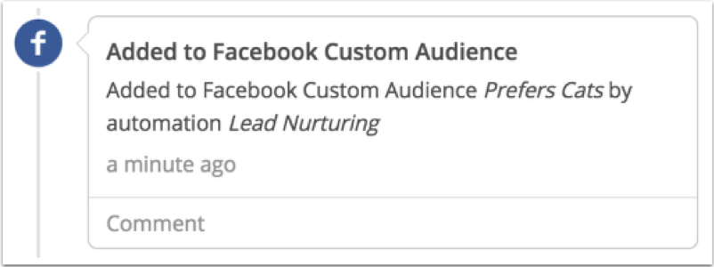 Added to Facebook Custom Audience