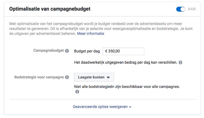 Facebook campagnebudget Optimalisatie